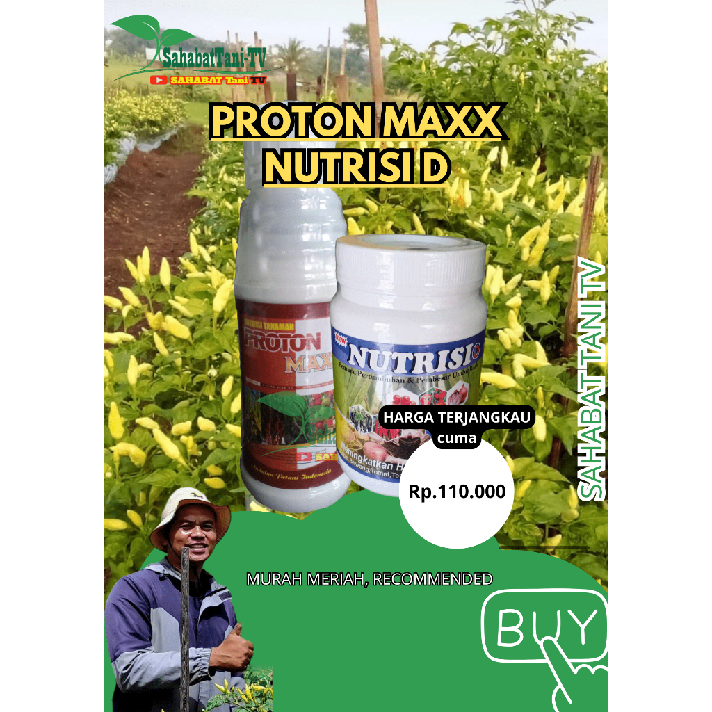 Paket Proton Maxx + Nutrisi D