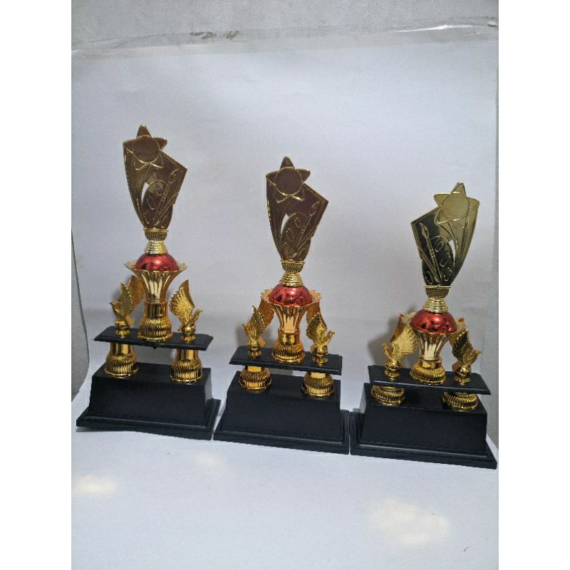 Trophy piala kaki 2