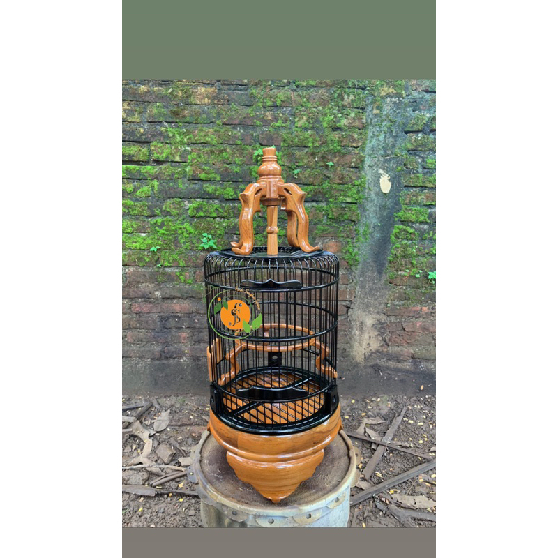 sangkar pleci kayu premium halusan