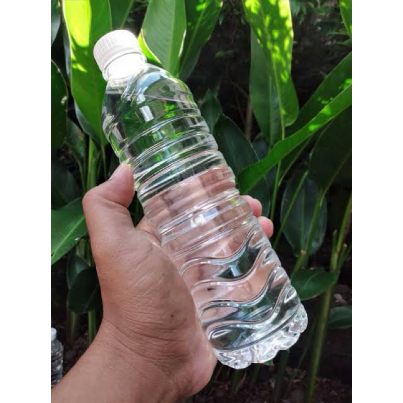 

[TERMURAH] minuman tradisional bali