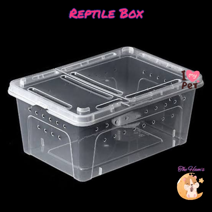 (The Ham's) Reptil Box Kandang Besar Feeding Hamster/Reptil/Gecko/kura-kura