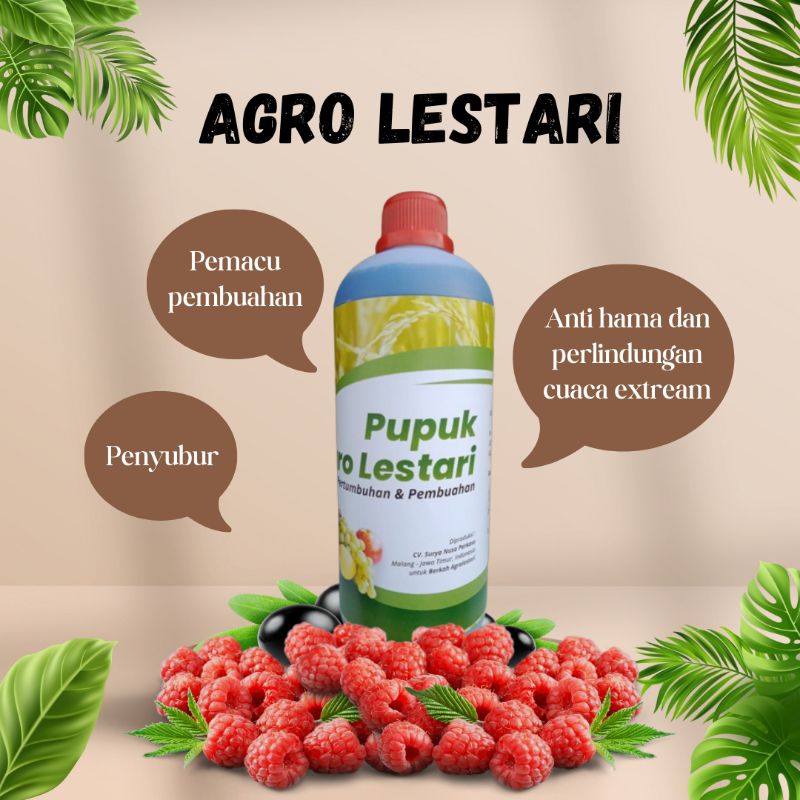 AGRO LESTARI PUPUK PERTUMBUHAN DAN PEMBUAHAN TERBAIK