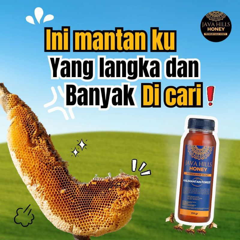 

madu kalimantan