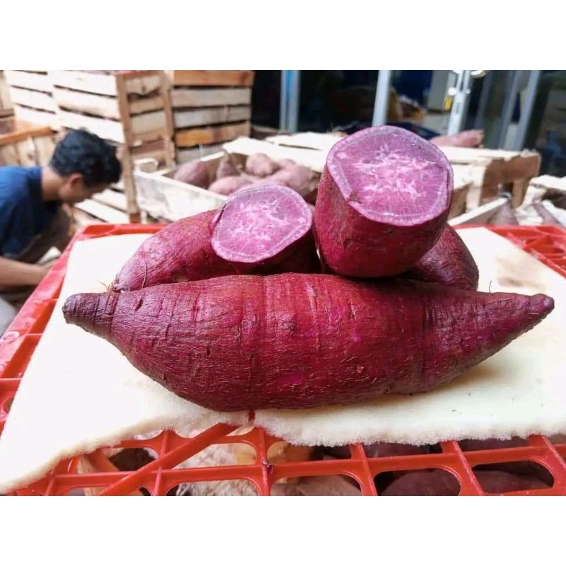 

Ubi Ungu 500 gr harga murah