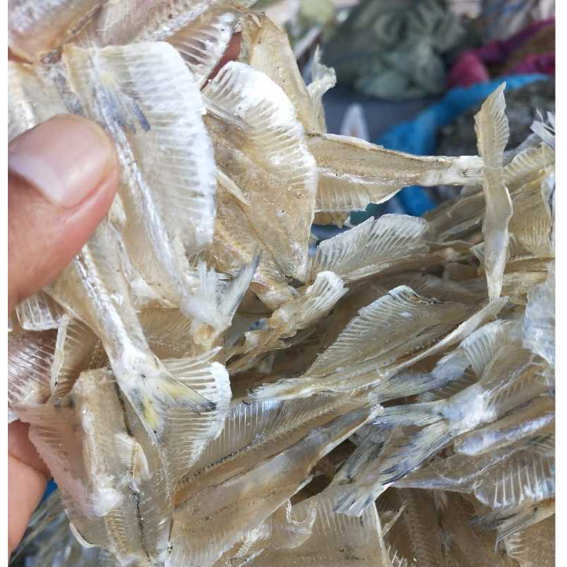

Ikan Kerupuk Aceh