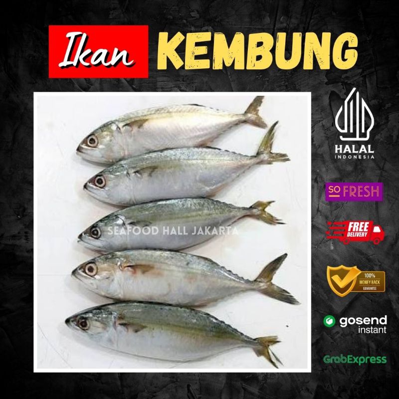 

Ikan Kembung Banjar Segar