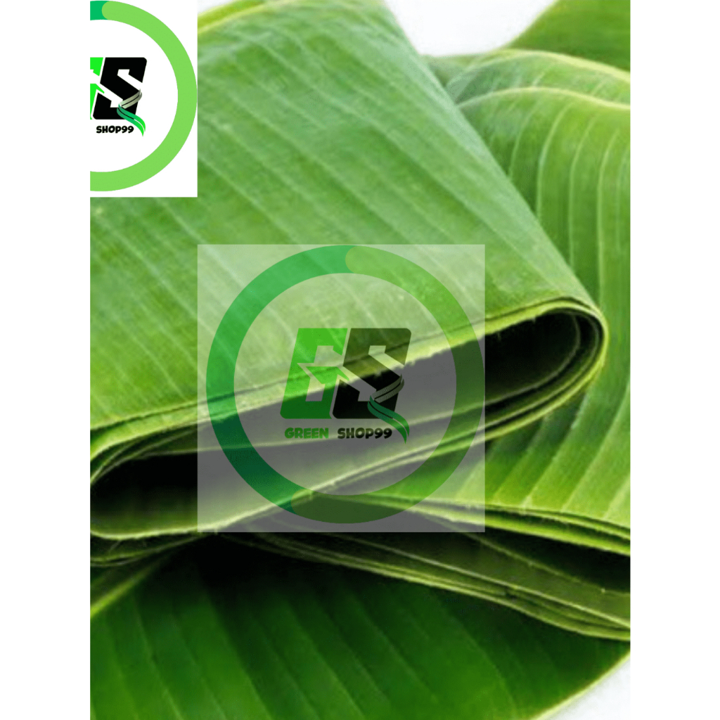 

DAUN PISANG