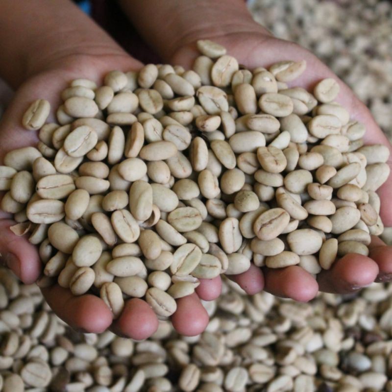 

BIJI KOPI MENTAH 500 gram KUALITAS SUPER