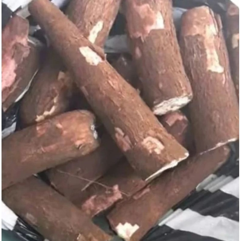 

Singkong Empuk 1kg
