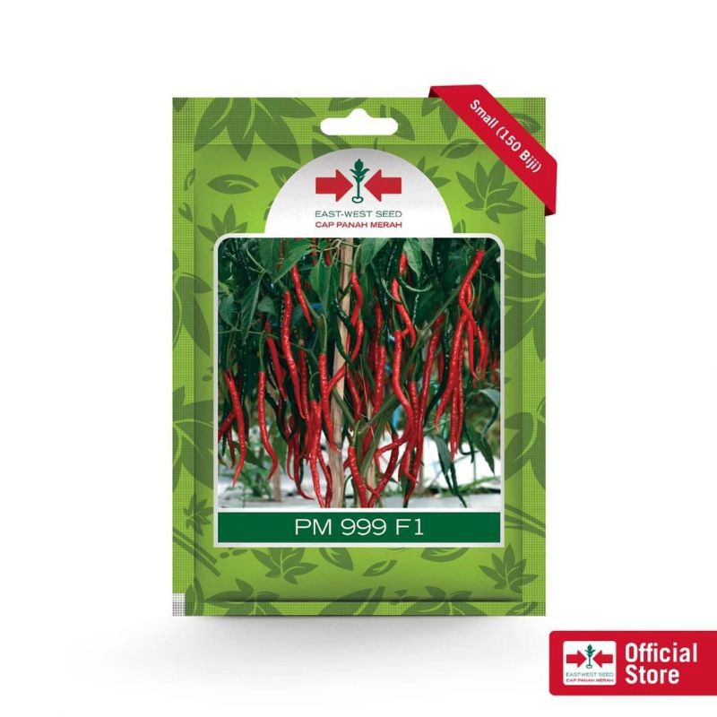 150 BUTIR BENIH CABE KERITING MERAH PM 999