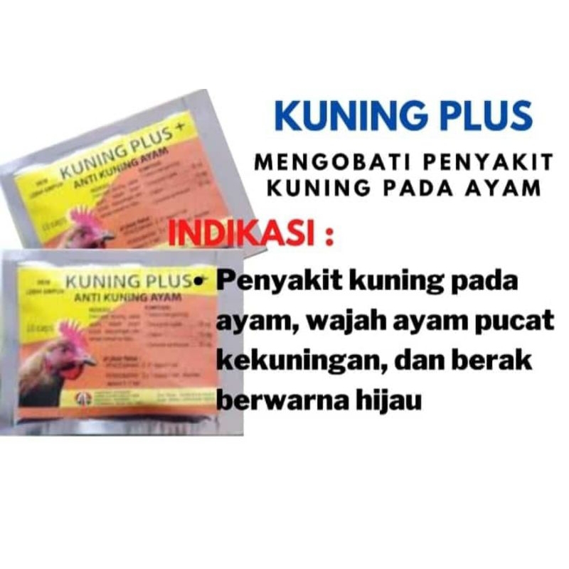 Kuning plus obat kuning ayam obat sakit kuning ayam