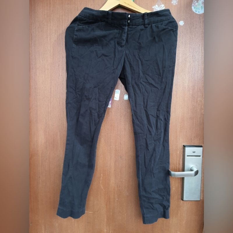 Celana The Executive