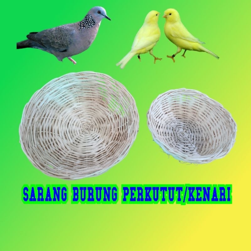 SARANG BURUNG PERKUTUT/KENARI