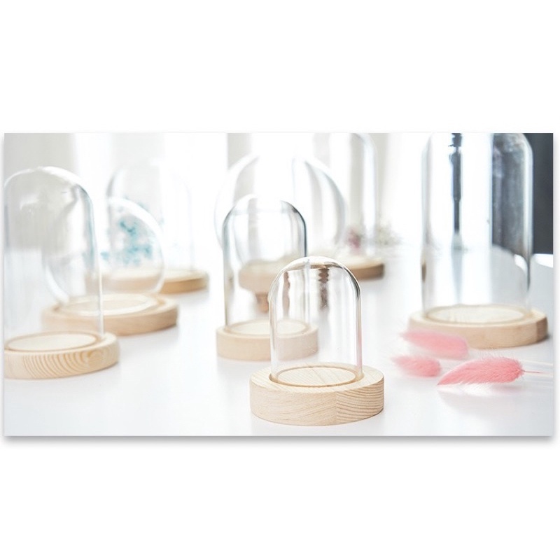 GLASS DOME FLOWER GLASS DOME CLASSIC