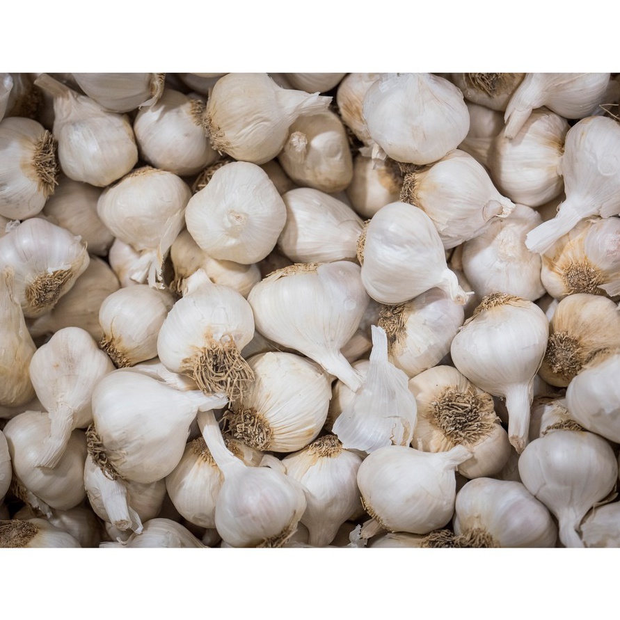 

Stok terbaru Bawang Putih Regular 5 gr