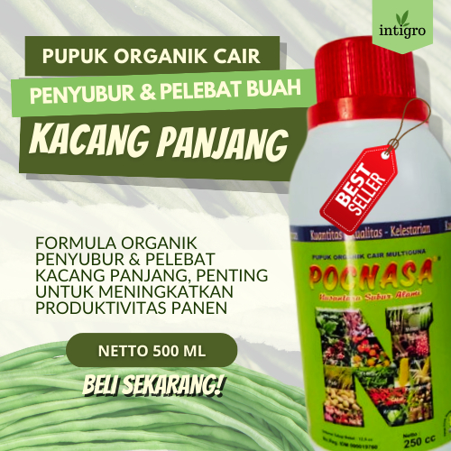 Pupuk Melebatkan Tanaman Kacang Panjang Paling Bagus Obat Penyubur Sayuran Kacang Panjang Anti Hama 
