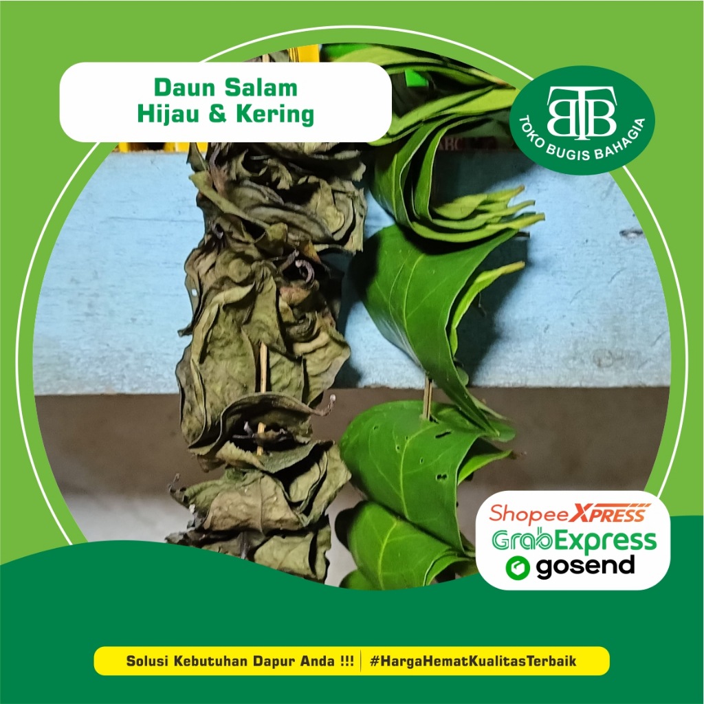

Daun Salam Kering Basah Murah Makassar