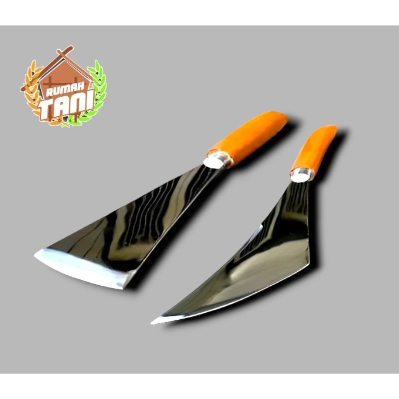 SEKRAP WALET / KAPE WALET - ALAT PANEN SARANG BURUNG WALET BAJA PUTIH ANTI KARAT