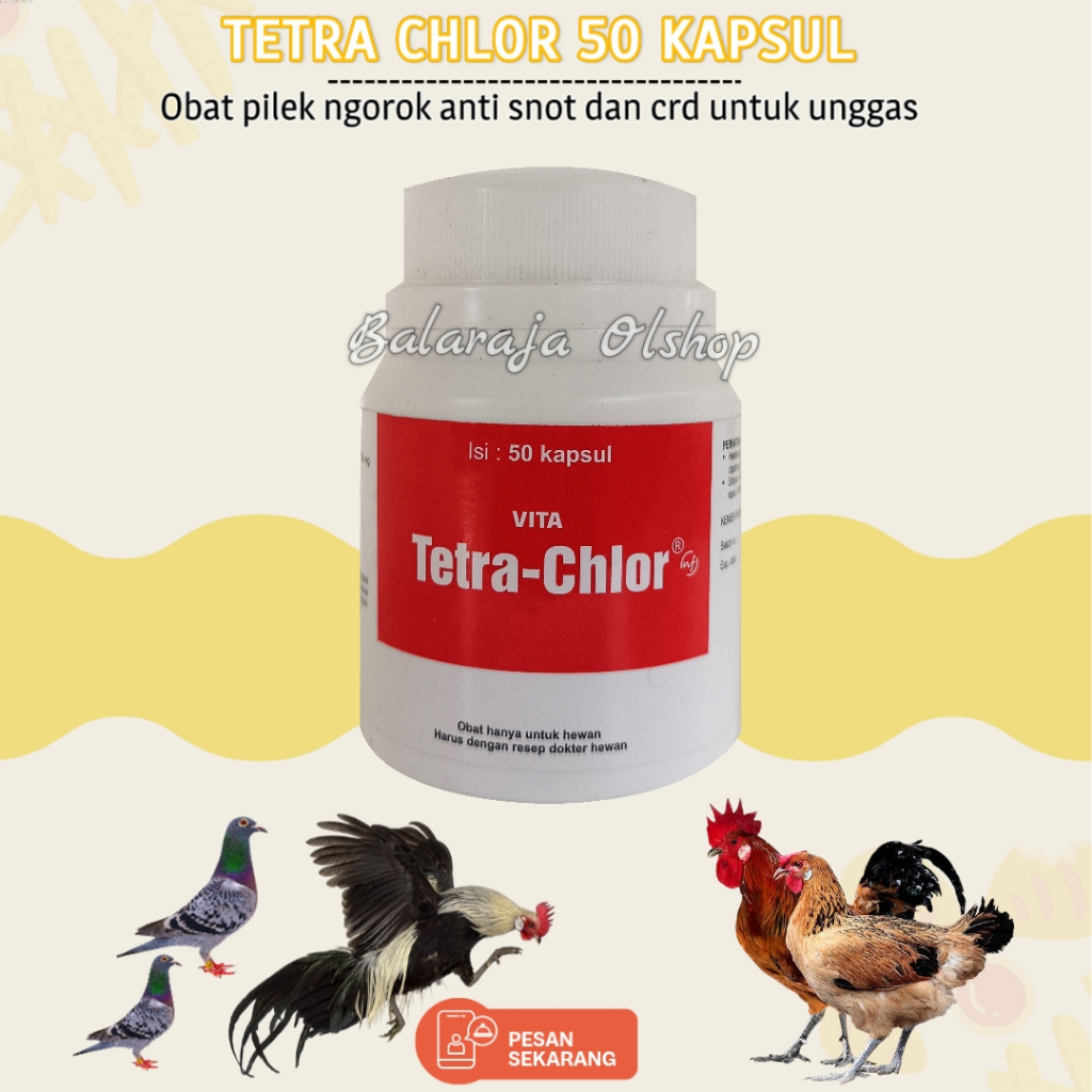 50 kapsul Tetra Chlor obat ayam burung sakit CRD pilek dll