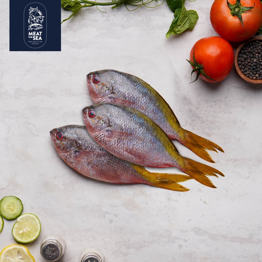 

Ikan Ekor Kuning ● Fresh Frozen