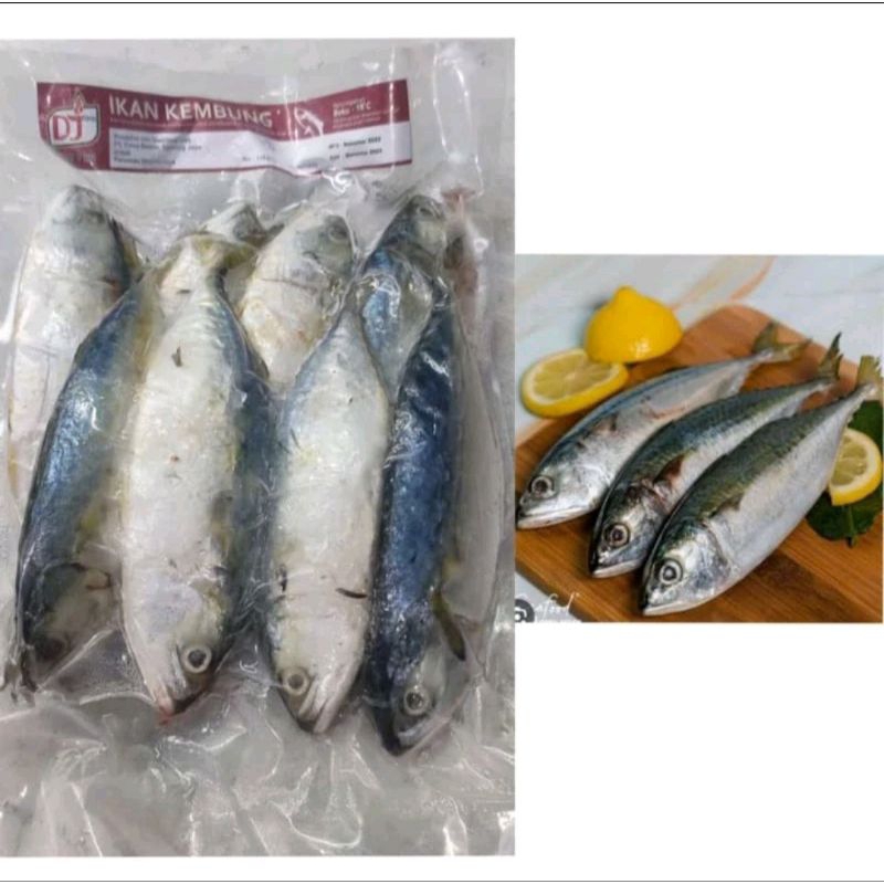 

Ikan Kembung Frozen ±1kg