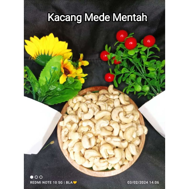 

Kacang mete