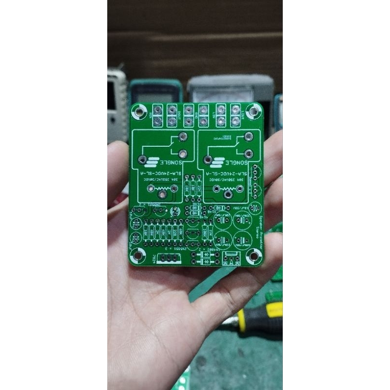 PCB speaker protektor double layer