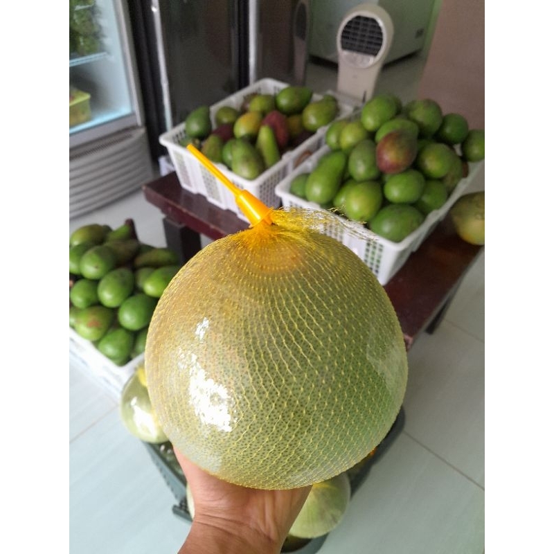 

jeruk pamelo madu gunung