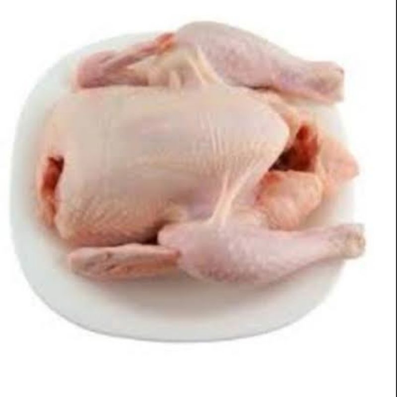 

Ayam Potong Utuh 1.5kg & 2kg