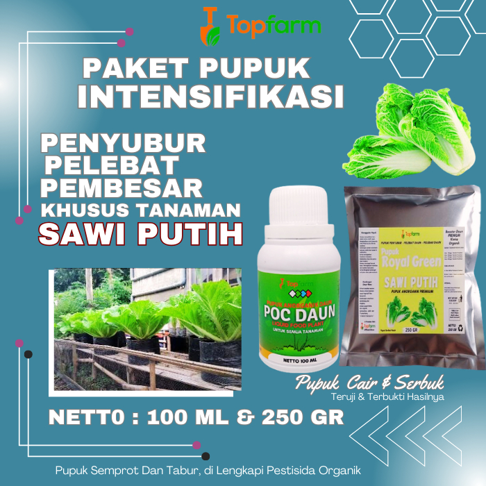 Pupuk Daun Untuk Sawi Putih / Pupuk Pembesar Buah Sawi Putih / Pupuk Pembesar Sawi Putih / Pupuk Saw