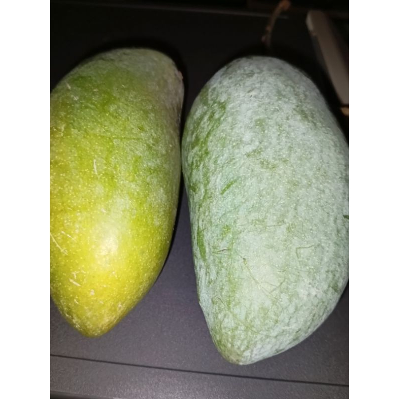 

mangga