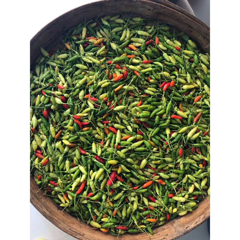 Cabai Rawit Jawa Hijau 1 kg (Organik)