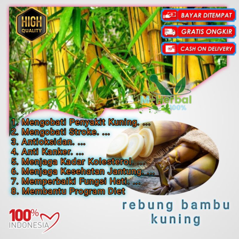 

rebung bambu kuning 1kg