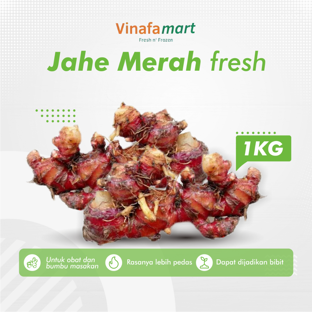 

Jahe Merah Segar Red Ginger Fresh Wedang Herbal Pelengkap Masakan 1kg