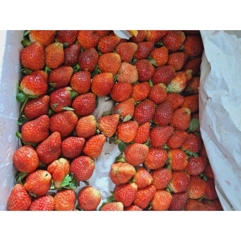 

Strawberry 500gr