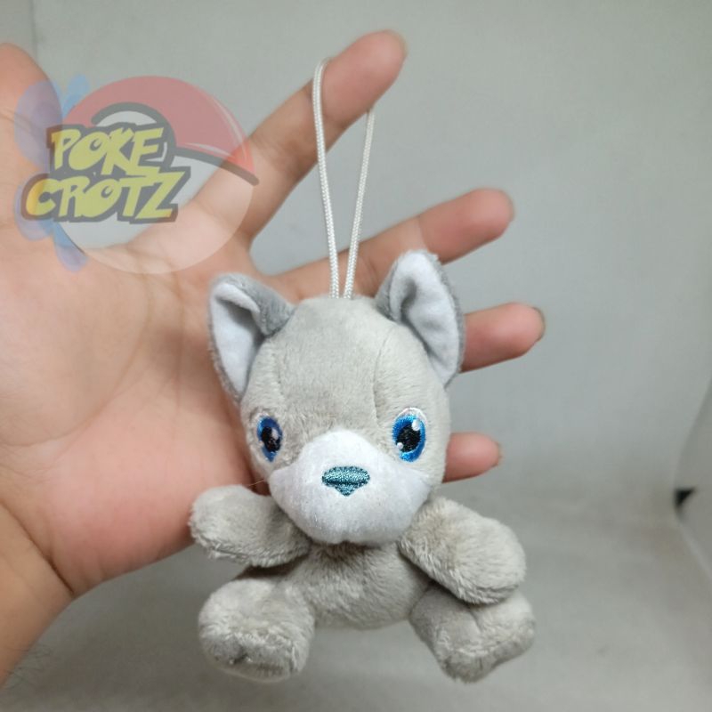 Boneka Chihuahua kecil anjing guguk ada brand plush