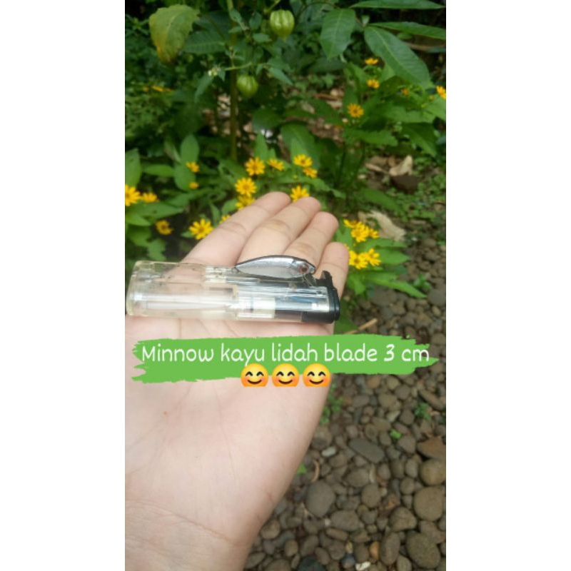 MINNOW SHINGKING/MINNOW MASHEER/MICRO MINNOW/MICRO CASTING/UMPAN CASTING