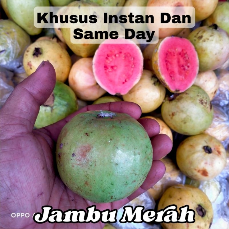 

JAMBU MERAH 1kg