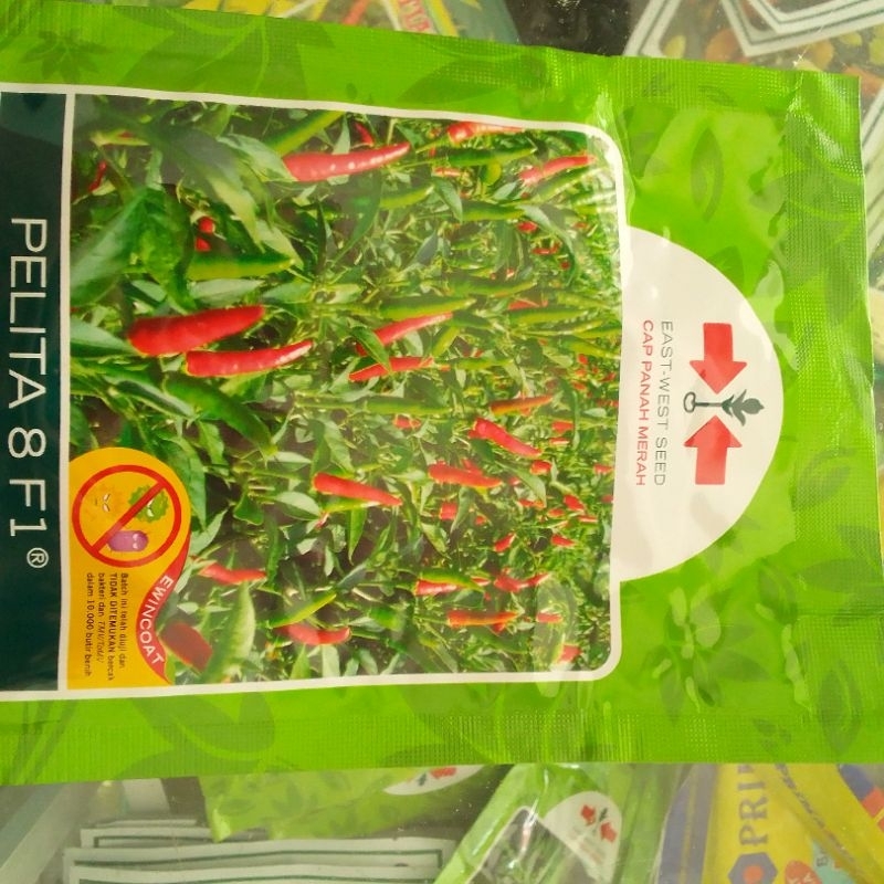 benih cabe rawit Pelita 8 fI 2250 butir