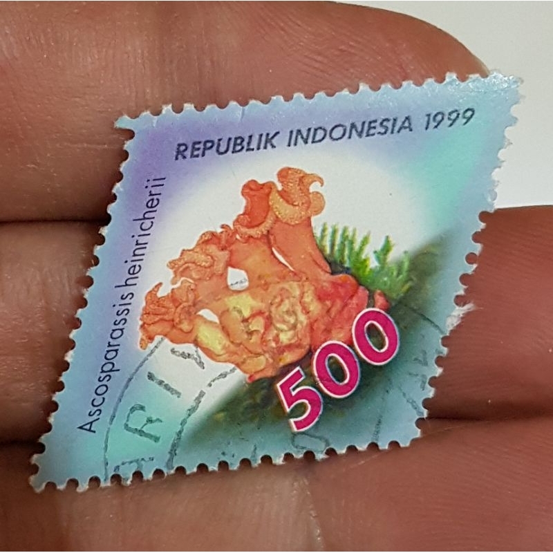 

Perangko Bentuk Unik Limas Seri Tumbuhan Langka 1999 Used Filateli Pos Indonesia
