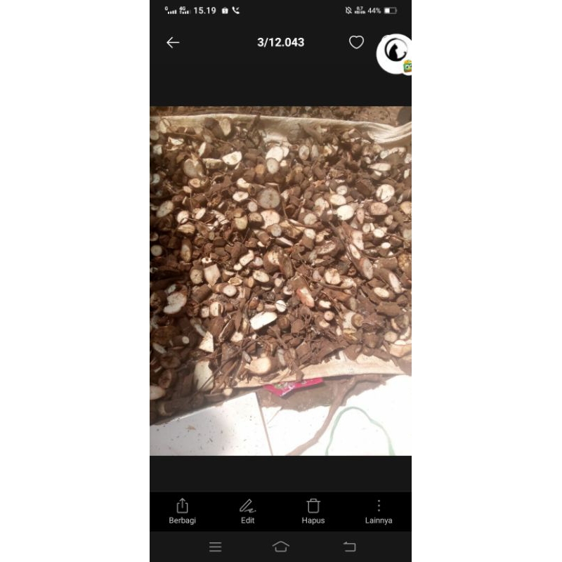 gaplek kering belum dikupas per ton pakan ternak