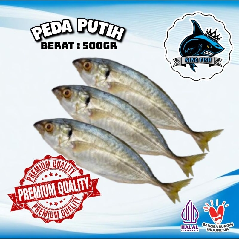 

500GR IKAN ASIN PEDA PUTIH MURAH BERKUALITAS