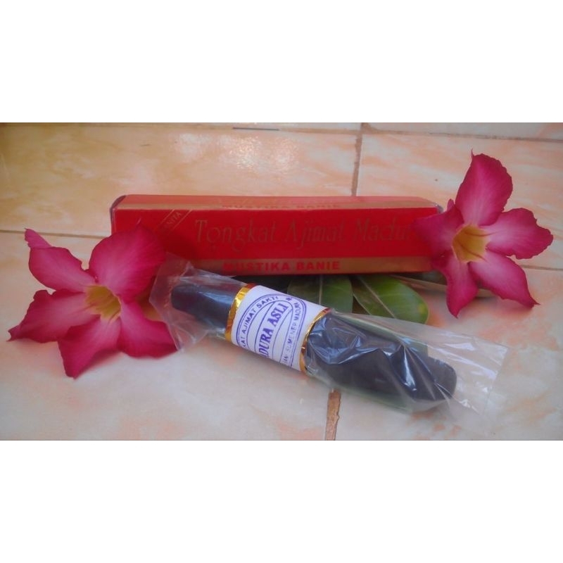 TONGKAT AJIMAT MADURA