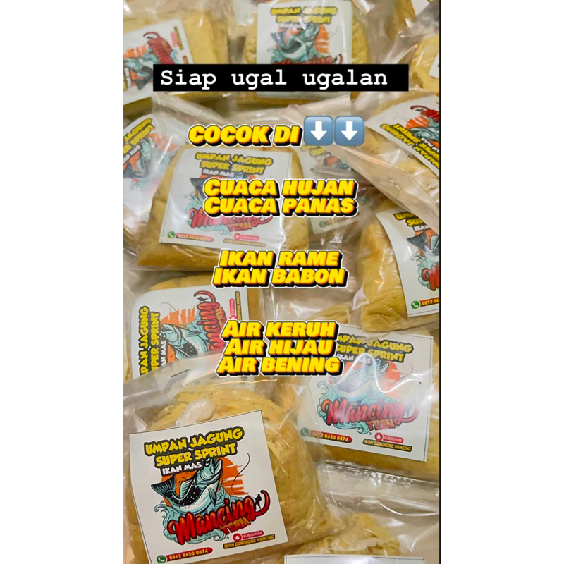 UMPAN JAGUNG IKAN MAS SUPER  SPRINT siap ugal ugalan di empang