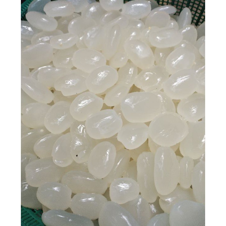 

TERMURAH kolang kaling super segar PURWOREJO 1kg