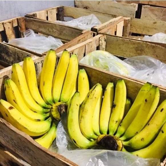 

Pisang Ambon per box/peti