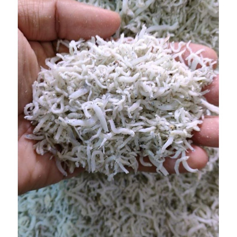 

VIRAL TERI NASI