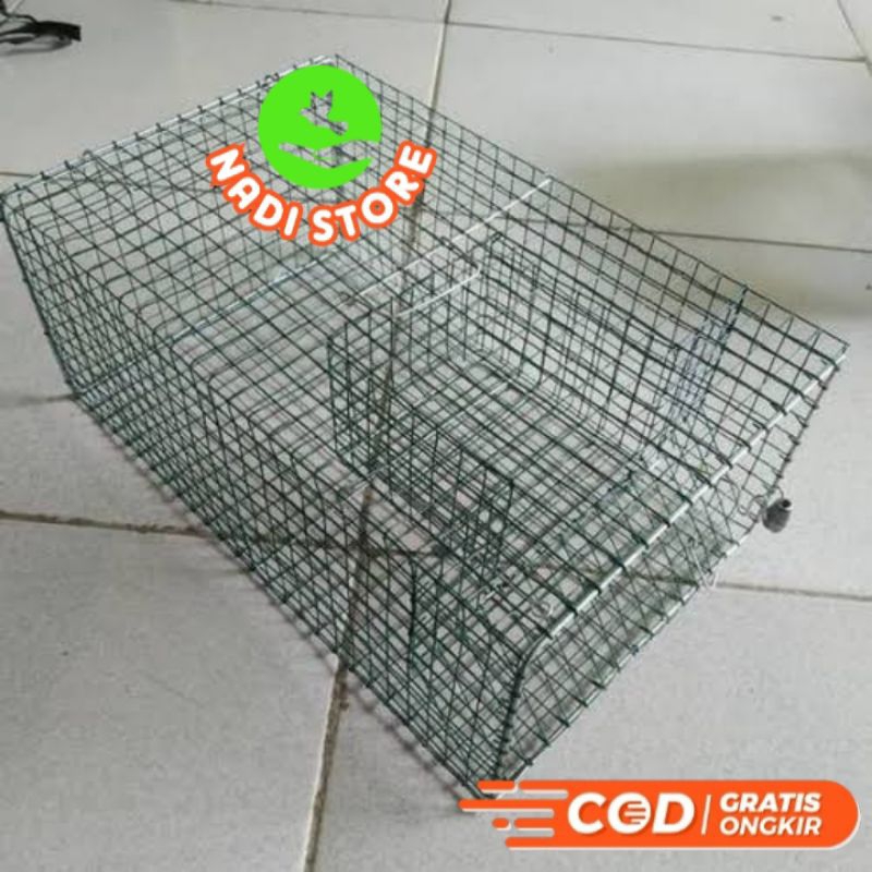 Jebakan Tikus Masal / Perangkap Tikus Massal dan setrum