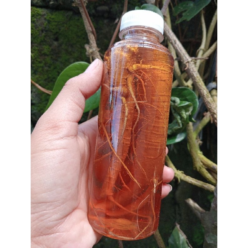 

fermentasi ginseng+ Madu 250ml