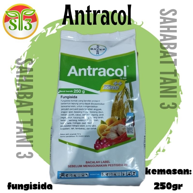ANTRACOL 70WP 250 Gram | Fungisida Bayer | Fungisida Kontak